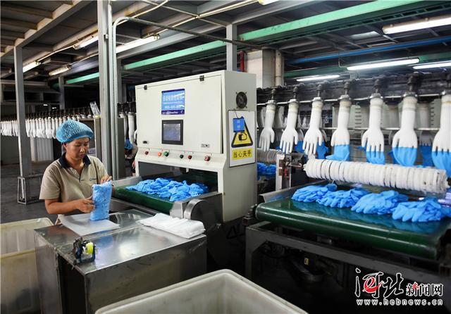 產學研一體化為翼，丁腈手套海外市場熱銷調查